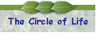 The Circle of Life