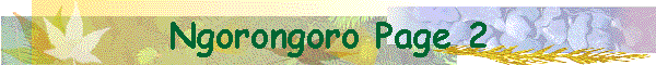 Ngorongoro Page 2