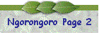 Ngorongoro Page 2