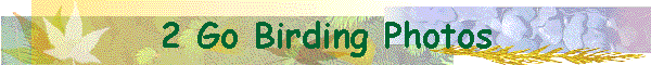 2 Go Birding Photos