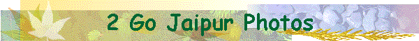 2 Go Jaipur Photos