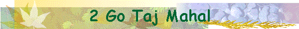 2 Go Taj Mahal
