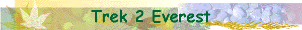 Trek 2 Everest