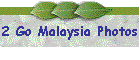 2 Go Malaysia Photos