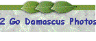 2 Go Damascus Photos