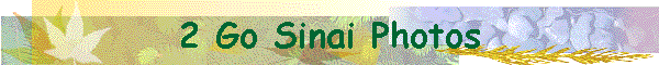 2 Go Sinai Photos