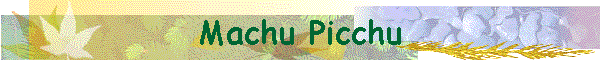 Machu Picchu